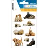 decorative labels "Puppies" - DECOR