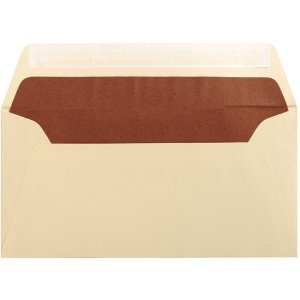 Envelope adhesive 25 pieces ivory 110x220 mm