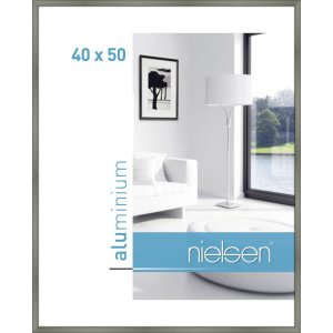 Aluminum frame Classic 40x50 cm platinum