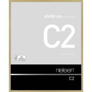 Nielse alu frame C2 Soft Frosted Gold 40x50 cm