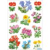 HERMA Decorative labels DECOR mountain flowers 3 sheets