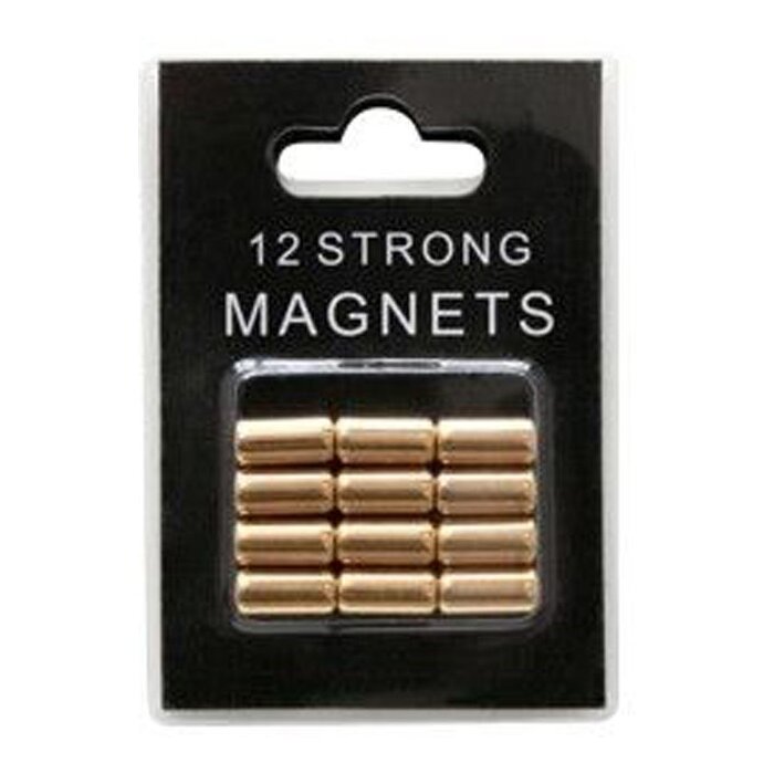 12 magnets Deknudt gold