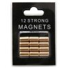 12 magnets Deknudt gold