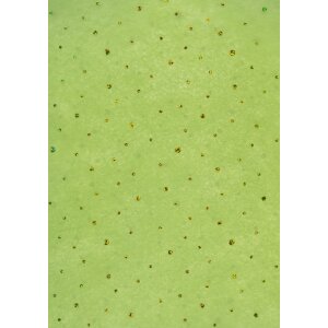 Paper 50x70cm dots fabric green