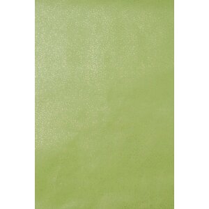 Paper 70x100 cm glitter paper green