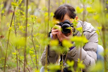 Photography in nature